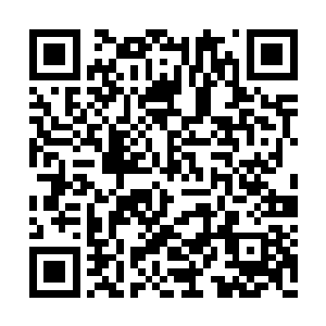 只希望等救援队赶到时塞西尔已经被幽灵蛛吃掉二维码生成