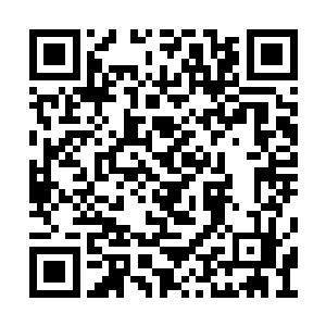 只得又好声好气的让长生帮忙将这些土先埋回去二维码生成