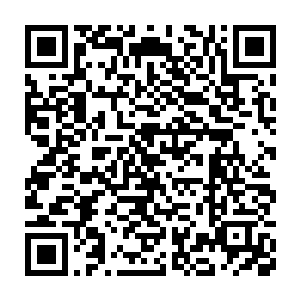 只得让灵霄仙鹤在鹏浦湾最外围的一块比较平坦的礁石平台上停下二维码生成