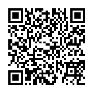 只怕他还不知道素来洒脱的南以轲也有为情所困的时候二维码生成