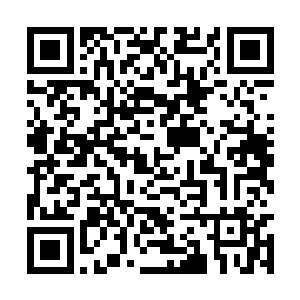 只怕她们这些细胳膊细腿也保护不了夫人和小姐啊二维码生成