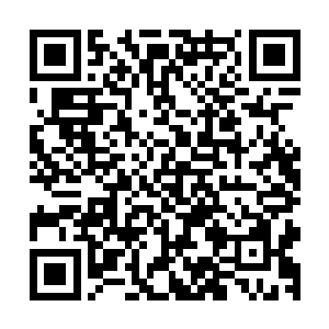 只怕就是被踩进了泥里也会觉得自己是这世上最高贵美丽的人二维码生成