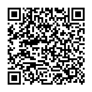 只怕当初墨修尧当着那么多人的面要她滚她的脸色都没有那么难看过二维码生成