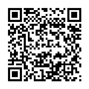 只怕整个圣庭的圣徒就更加不用说圣庭的十二圣骑了二维码生成