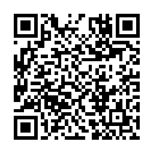 只怕未必能够在那些界主大能面前讨得到多少好处二维码生成