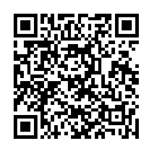 只怕楚航等人早已在楚旬刚刚几次精神力爆发下受伤了二维码生成