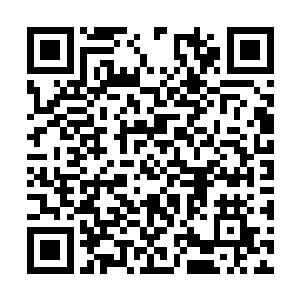 只怕用不了多久也会被这些可怕力量给直接撑爆的二维码生成