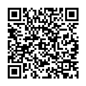 只怕眼前这个可恶的小子就只能蜷缩在地上哀嚎了二维码生成