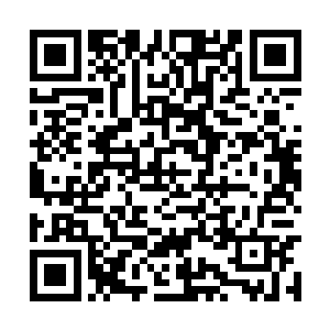 只怕这个侄女是为了明芳的婚事才同自己来哭诉的二维码生成