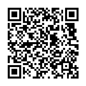 只怕那迷宫里面隐藏的危险还不只地图上描绘的那样简单二维码生成