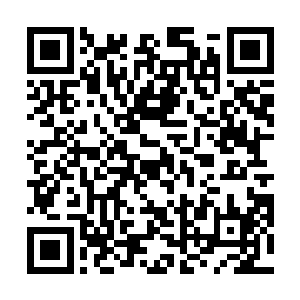 只感受到了一种大概相类似于锻骨期初阶的实力的波动二维码生成