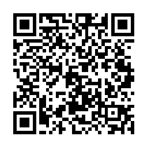只感觉一股清新得仿若是兰花初绽的香气扑鼻而来二维码生成