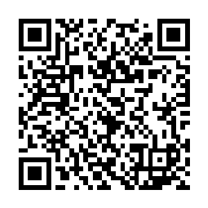 只是……刚才那股战栗的危险感觉却让她心有余悸二维码生成