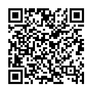 只是……暂时看来这空间神器的空间还是太小了一些二维码生成