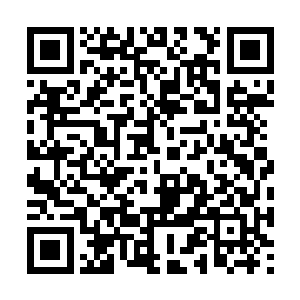 只是……谁又能保证这个人类就一定可以破解封印二维码生成