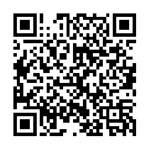 只是一双异色的瞳眸却从那时起就萦绕在了他的脑海中二维码生成
