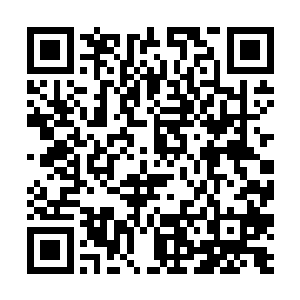 只是一直感觉她的身份不明有些神秘才保持一定距离二维码生成