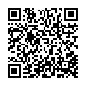 只是一看到飞蝗那冷漠的眼神皇龙就知道自己说什么都没用二维码生成