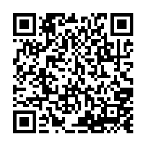 只是一轮的偷袭就将那十一个混沌兽和域外天魔斩杀干净二维码生成