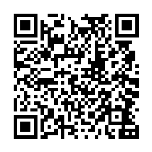 只是不到五百岁的年龄就已经达到了仙王后期巅峰二维码生成