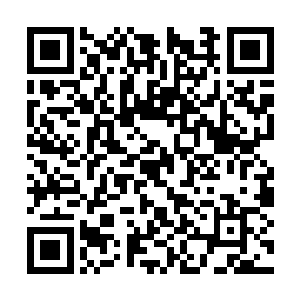 只是不到十几息的时间就已经追到了许紫烟的身后二维码生成