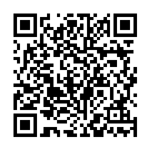 只是不想这闻先生在逃走之际尤没有疏忽了云逸的存在二维码生成