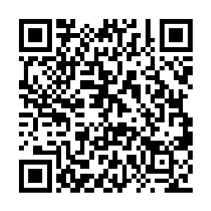 只是不知道何时才能看到穿一身和服的酒井惠子二维码生成