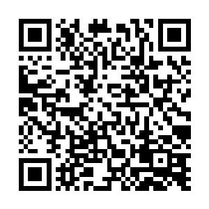 只是不知道自己杠上这样一个资深玩家对自己是福是祸呢二维码生成