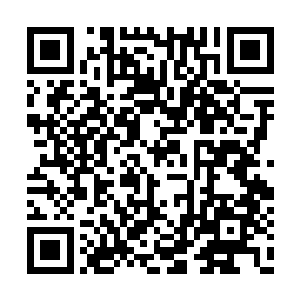 只是为了遏制剑尘那能完全隐匿在虚空中的能力二维码生成