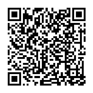 只是从前小小云就算是练毛笔字也要学写着弟弟的名字的那种兄弟情深二维码生成