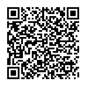 只是从那种常规的可以叠加很多层的蛋形仙力防护罩改成贴身的薄薄一层二维码生成