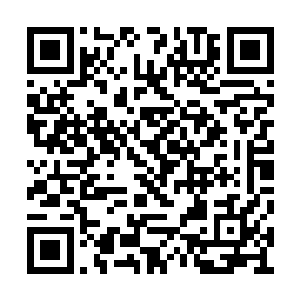 只是他们两个直到天光大亮还搂在一起不想分开二维码生成