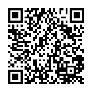 只是他却惊骇的发现自己连动弹一下的力气都没有二维码生成