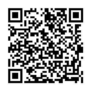 只是你对这修罗海中的力量有着更强的控制能力二维码生成