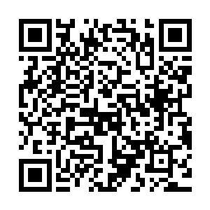 只是修改了他们关于她们的那部分的记忆以及池青月相关的记忆二维码生成