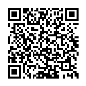 只是做父亲的又有哪一个不希望孩子更为优秀呢二维码生成