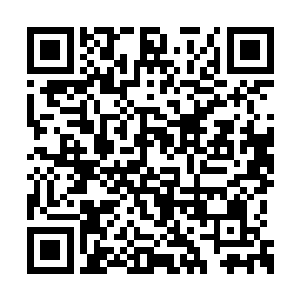 只是偶尔会有修炼邪道功法的武者出来危害一方二维码生成