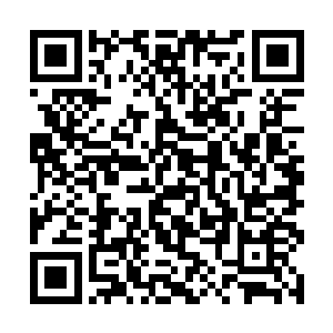 只是像苏凡这样打断他这三招连连贯的倒还是第一次二维码生成