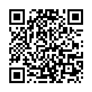 只是僵尸的大脑运行和人的有些不同二维码生成