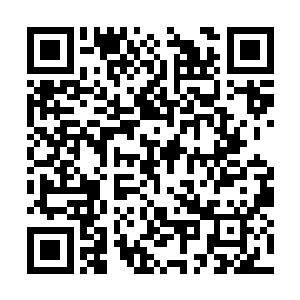 只是凌予至今都查不到那批地下军队究竟藏在哪里二维码生成
