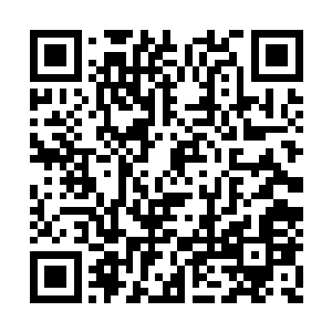 只是凭着苗毅往日的威信才硬着头皮配合了一把二维码生成