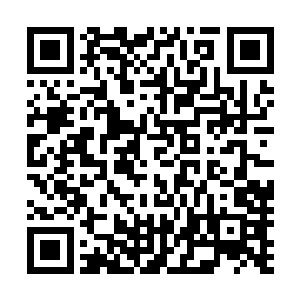 只是刀刃……此刻居然完完整整的握在了雪桦姨的手里……二维码生成