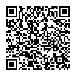 只是半天的时间便将八个躲在树洞内的修士身上的储物戒指全部抢了过来二维码生成