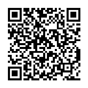 只是反应速度有所不同的还有她的五个同门师妹二维码生成