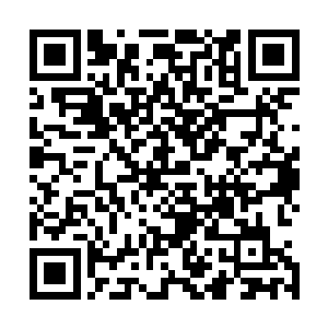 只是听着神采飞扬的耿南仲和宇文虚中两人在那里高谈阔论二维码生成