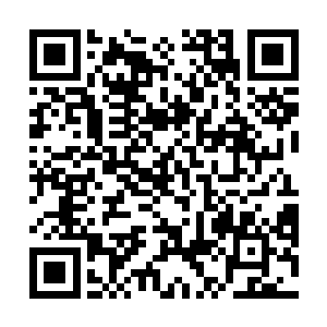 只是听说定王出城了才猜想一定会带着孩子来祭拜祖先二维码生成