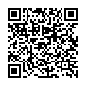 只是听说梁医生的老婆和您今天大大出手了一次呢二维码生成