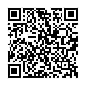 只是听闻这一次的龙凤盛会有不少的天骄会现身二维码生成