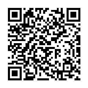 只是吴岩现在被眼前小怪鱼鲲的疯狂给震惊了一把二维码生成