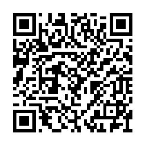 只是和脸上洋溢着灿烂笑容的其他干部职工相比二维码生成